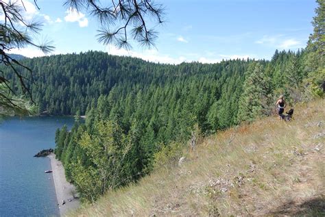 sandpoint idaho hotels pet friendly|Pet Friendly Hotels in Sandpoint ID (+PET POLICIES).